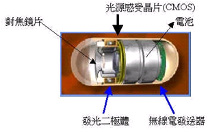 膠囊內視鏡內部解剖結構