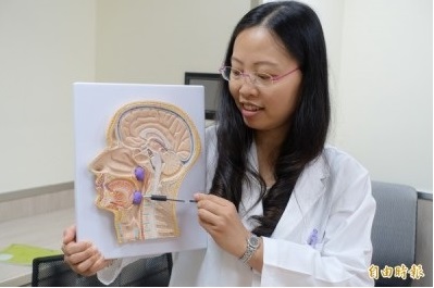 馬偕兒童醫院耳鼻喉科醫師謝麗君說,3至6歲時,人體淋巴組織快速增生,扁桃腺(下紫色處)和腺樣體(上紫色處)甚至可長到成人的2倍大,但呼吸道空間的成長速度卻跟不上,易導致口鼻呼吸道阻塞。(記者吳欣恬攝) 馬偕兒童醫院耳鼻喉科醫師謝麗君說,3至6歲時,人體淋巴組織快速增生,扁桃腺(下紫色處)和腺樣體(上紫色處)甚至可長到成人的2倍大,但呼吸道空間的成長速度卻跟不上,易導致口鼻呼吸道阻塞。(記者吳欣恬攝)