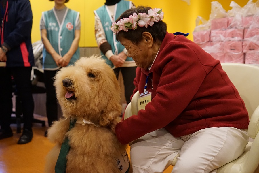 毛小孩討拍 馬偕醫院以動物輔助治療 讓失智長者笑了說明圖片