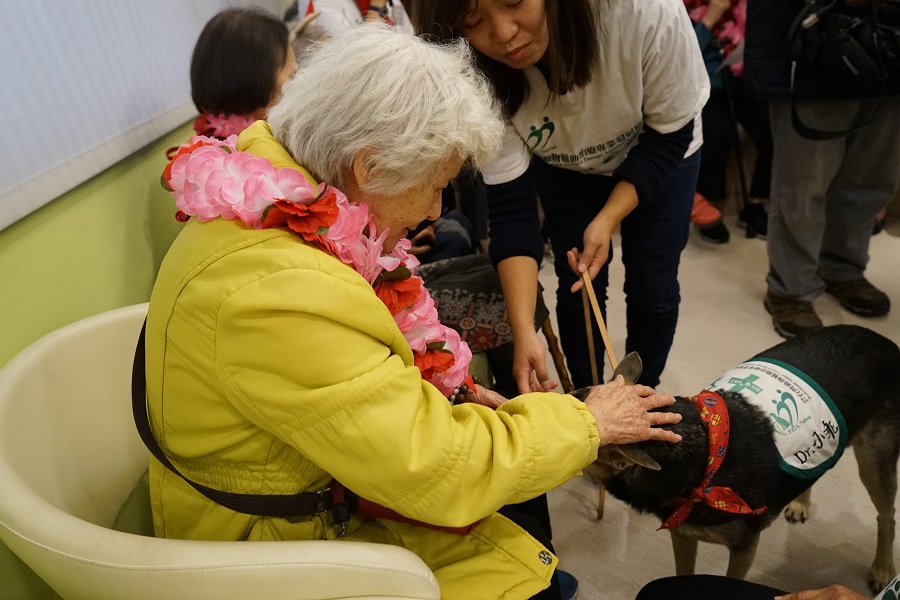 毛小孩討拍 馬偕醫院以動物輔助治療 讓失智長者笑了說明圖片